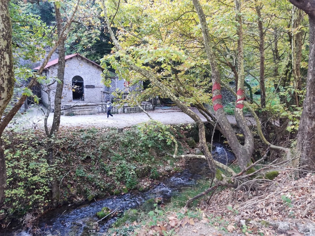 Pavliani